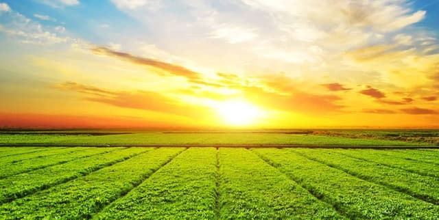 Sri Lanka Climate and Meteorology Dataset Dataset on Opendatabay data marketplace