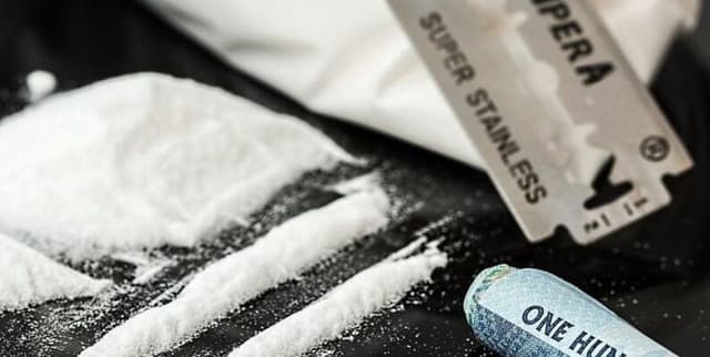 Historical Drug Seizure Statistics Dataset on Opendatabay data marketplace