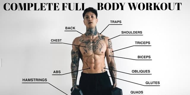 Bodybuilding Exercise List Dataset on Opendatabay data marketplace