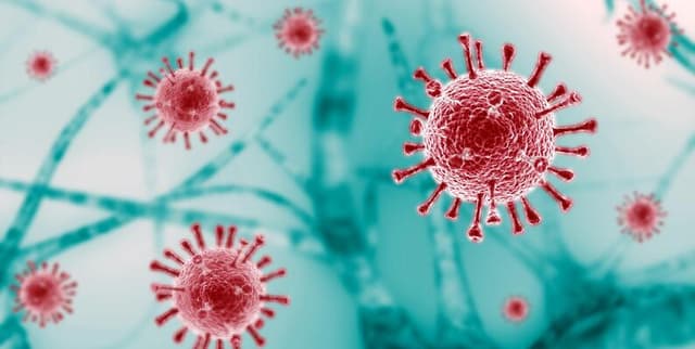 COVID-DeepPredictor Viral Sequence Data Dataset on Opendatabay data marketplace