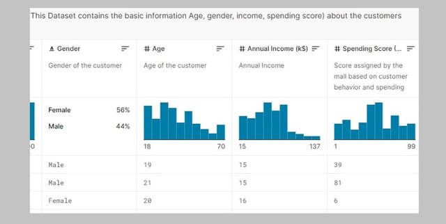 Retail Customer Spending Behaviour Dataset on Opendatabay data marketplace