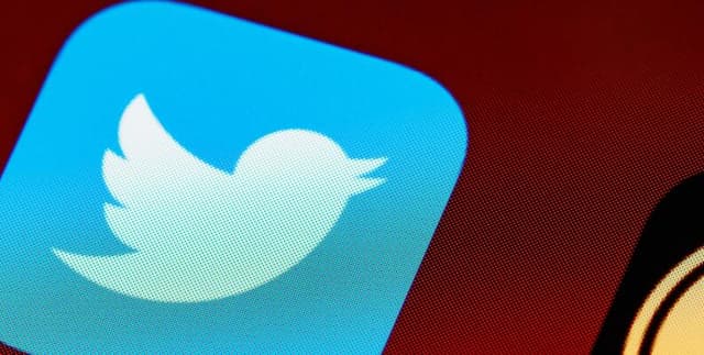 Twitter User Profile Data Dataset on Opendatabay data marketplace