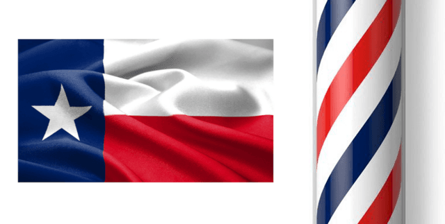 Texas Barber and Cosmetology Licence Data Dataset on Opendatabay data marketplace