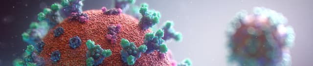 Daily COVID-19 Activity Data Mexico Dataset on Opendatabay data marketplace