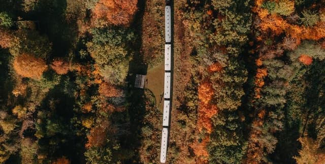 Travel Industry Churn Analytics Dataset on Opendatabay data marketplace