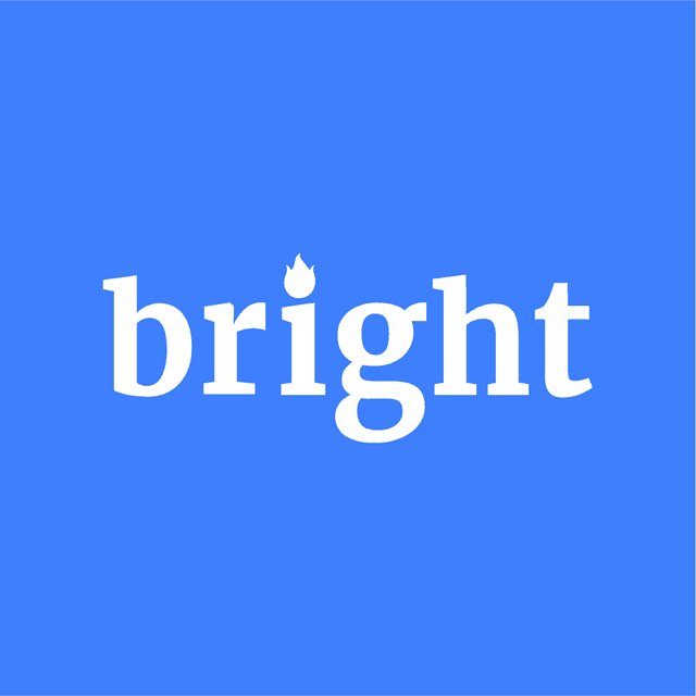 Bright Data profile logo Data provider Bright Data logo image on Opendatabay marketplace