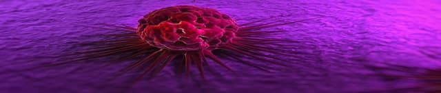 US National Cancer Expenditure Data Dataset on Opendatabay data marketplace