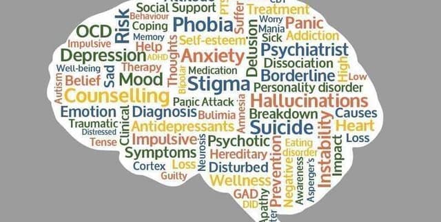 Adolescent Stress Correlates Data Dataset on Opendatabay data marketplace