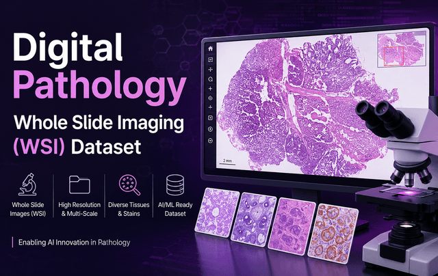 Digital Pathology Whole Slide Imaging (WSI) Dataset Dataset on Opendatabay data marketplace