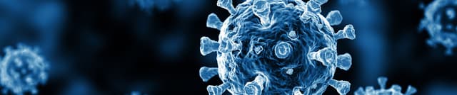 Early India COVID-19 Outbreak Data Dataset on Opendatabay data marketplace