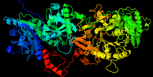 Half-life versus Length Proteomics Data Dataset on Opendatabay data marketplace