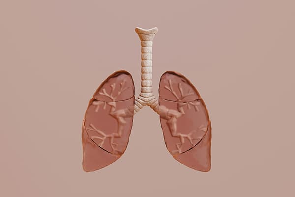 Synthetic Lung Cancer Patient Records Prediction Dataset Dataset on Opendatabay data marketplace