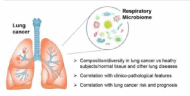 Lung Cancer Risk Prediction Dataset Dataset on Opendatabay data marketplace