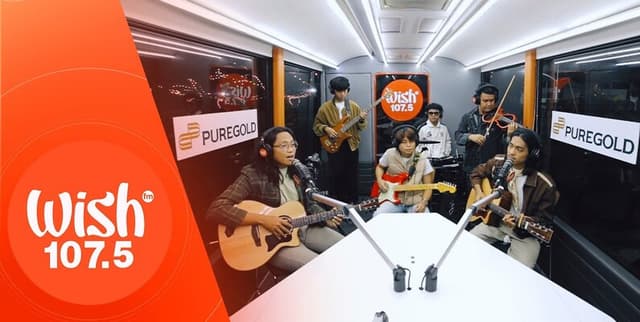 WISHclusive Comments Dataset Dataset on Opendatabay data marketplace