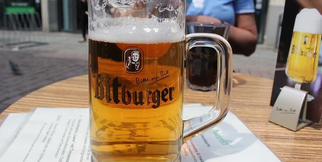 Lager Beer Antioxidant Profiles Dataset on Opendatabay data marketplace