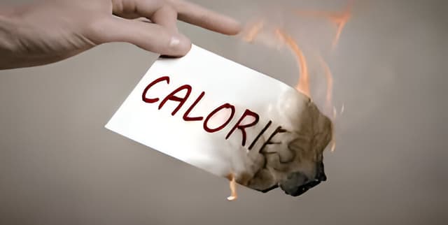 Fitness Activity Calories Dataset on Opendatabay data marketplace