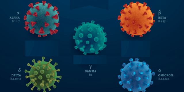 Global Daily COVID-19 Metrics Dataset on Opendatabay data marketplace
