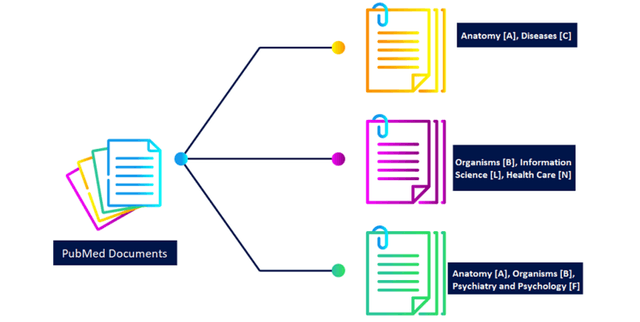 PubMed MeSH Article Classification Dataset Dataset on Opendatabay data marketplace