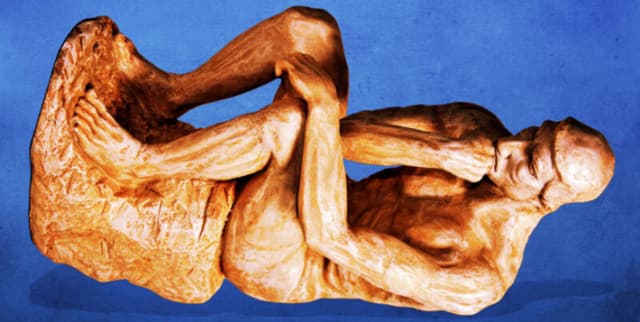 Ig Nobel Laureates Historical Archive Dataset on Opendatabay data marketplace