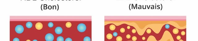 Cholesterol and Heart Disease Prediction Dataset on Opendatabay data marketplace