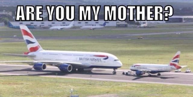 Aviation Customer Sentiment Dataset Dataset on Opendatabay data marketplace