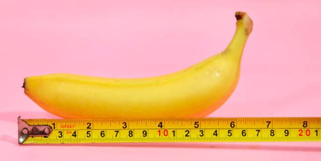 Worldwide Genital Measurements Dataset Dataset on Opendatabay data marketplace