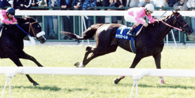 Japanese Horse Racing Analytics Dataset Dataset on Opendatabay data marketplace