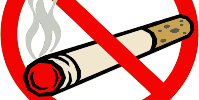 SmokeBank Cross-Sectional Data Dataset on Opendatabay data marketplace