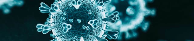 Covid-19 Regional Metadata and Recoveries Dataset on Opendatabay data marketplace