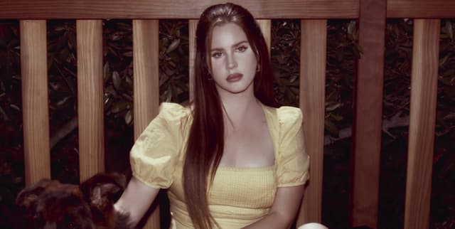 Official Lana Del Rey Discography Metadata Dataset on Opendatabay data marketplace