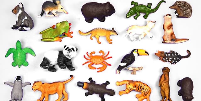 Animal Feature Identification Data Dataset on Opendatabay data marketplace