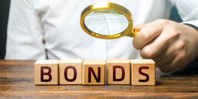 Electoral Bond Donor and Denomination Database Dataset on Opendatabay data marketplace