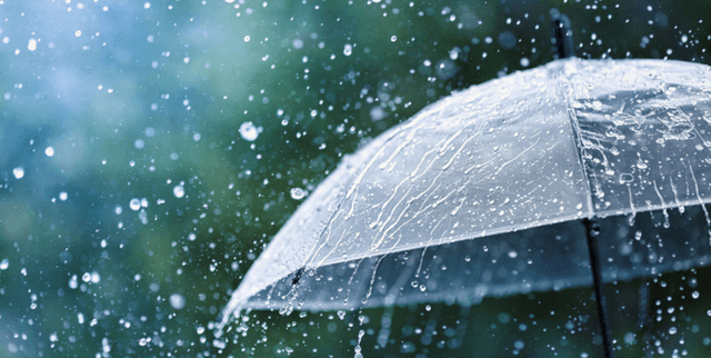 International Weather Station Data Dataset on Opendatabay data marketplace