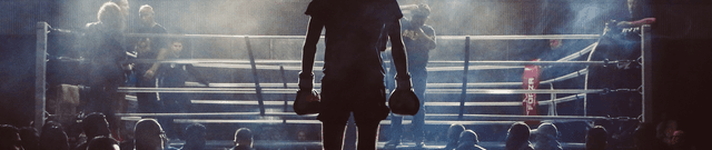 UFC 257 Social Media Commentary Dataset on Opendatabay data marketplace