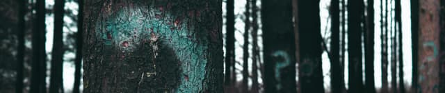 Open QA Systems Dataset Dataset on Opendatabay data marketplace