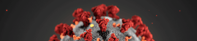 Daily and Total COVID-19 Metrics for India Dataset on Opendatabay data marketplace