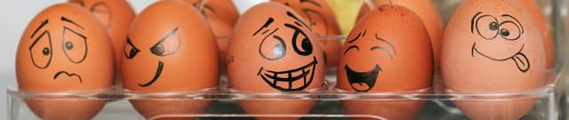 Social Media Emotion Classification Dataset Dataset on Opendatabay data marketplace