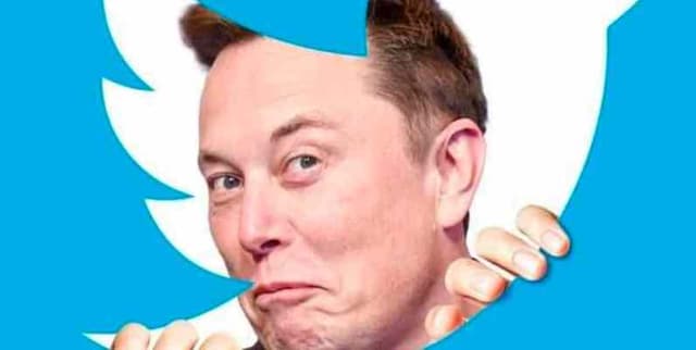 Early Twitter Trading Data Dataset on Opendatabay data marketplace