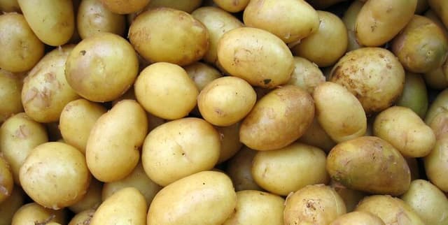 Potato Varieties and Culinary Uses Dataset on Opendatabay data marketplace