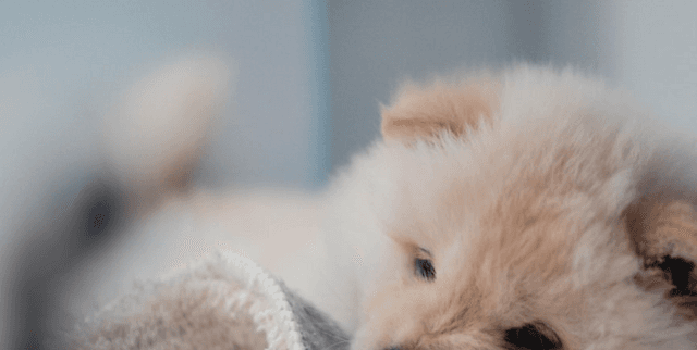 Reddit Aww User Interaction Log Dataset on Opendatabay data marketplace