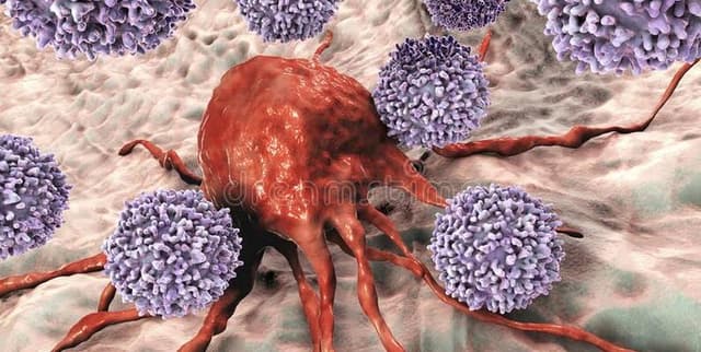 WHO Cancer Report India 2020 Dataset on Opendatabay data marketplace