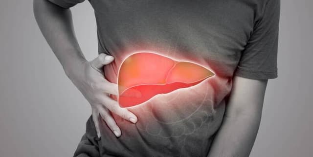 Liver Disease Prediction Dataset Dataset on Opendatabay data marketplace