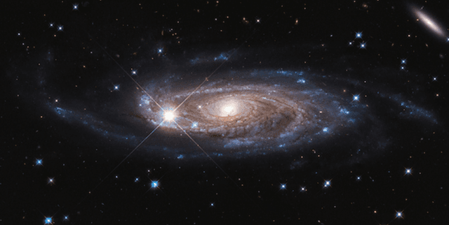 Star Trek Season 1 Action Data Dataset on Opendatabay data marketplace