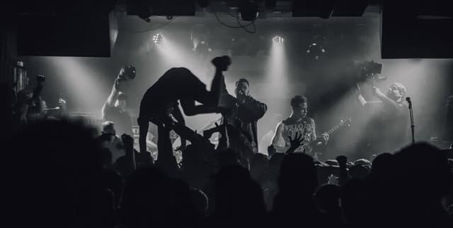 Mathematical Patterns in Punk Rock Lyrics Dataset on Opendatabay data marketplace