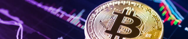 Historical Bitcoin Price and Daily Volume Log Dataset on Opendatabay data marketplace