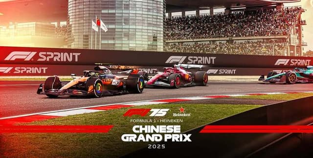 F1 2025 China Performance Data Dataset on Opendatabay data marketplace