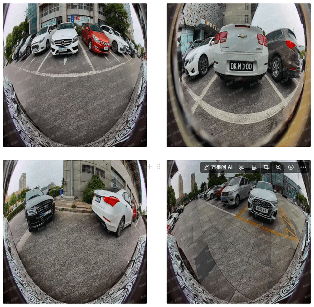 Fisheye Camera Special License Plate Image Dataset Dataset on Opendatabay data marketplace