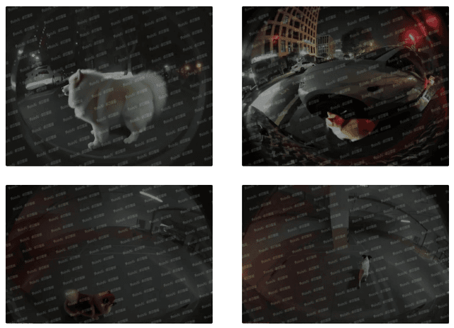 Near-Vehicle Pet Behavior Video Dataset Dataset on Opendatabay data marketplace