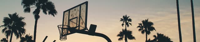 Global Basketball Stats Archive Dataset on Opendatabay data marketplace