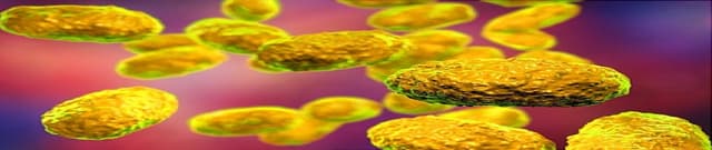 Historical Public Health Statistics by Californian County Dataset on Opendatabay data marketplace